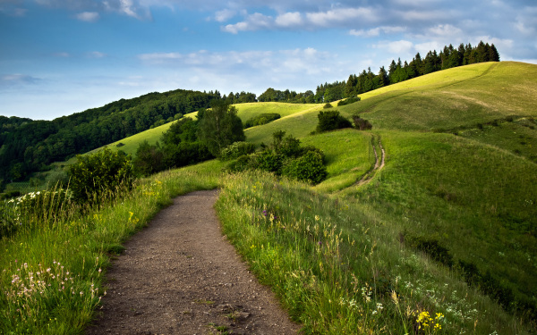 Windows⡶Footpathsֽ_Ʒͼ