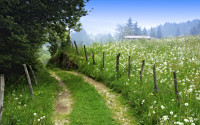 Windows⡶Footpathsֽ_Ʒͼ