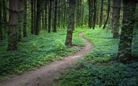 Windows⡶Footpathsֽ_Ʒͼ