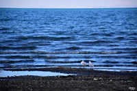 ˮ 70-200mm(A009)ͷຣ_ͼ