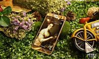 ȶΪ!˶Zenfone3ϵйаֳͼ_Ʒͼ