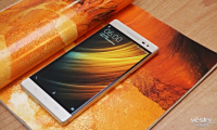 ʵ 󷶶PHAB2 Proֻͼ_Ʒͼ