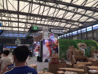 2017ChinaJoy抢先看:E5、E6展馆图集_图赏