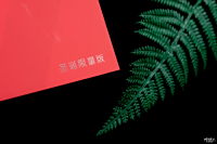 ʥĲ֮ѡ vivo X20ҫʥ_ֻƷ